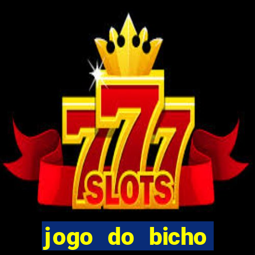 jogo do bicho preferida matinal